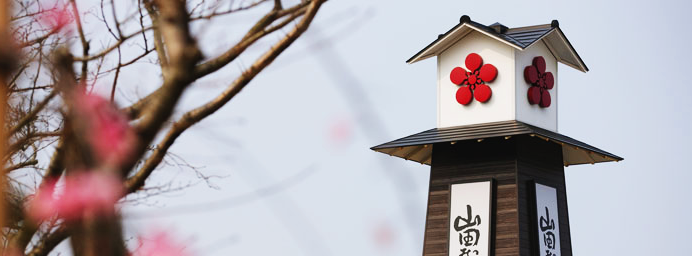 会社概要